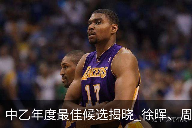 中乙年度最佳候选揭晓 徐晖、周挺及张翀等人入围